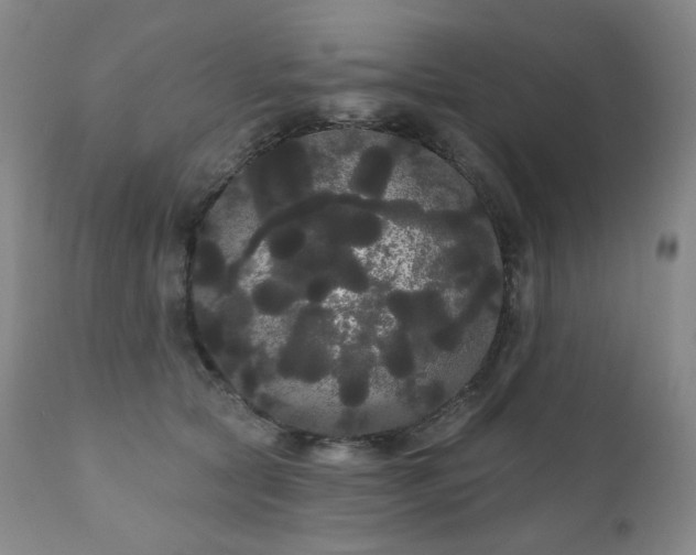 X0000111050561200906251436