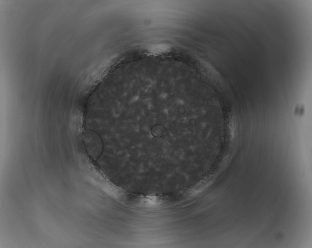 X0000111050565200906251436