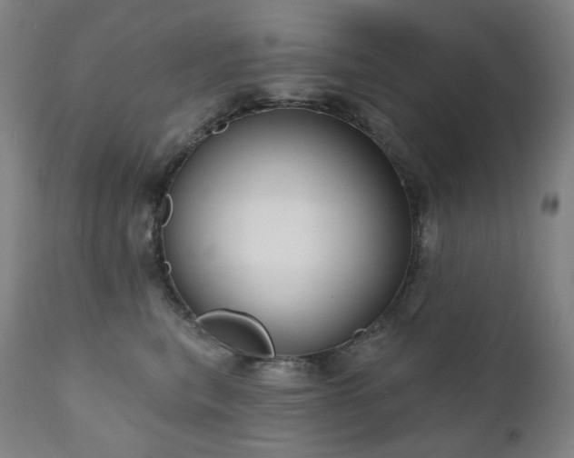 X0000111050567200906251436