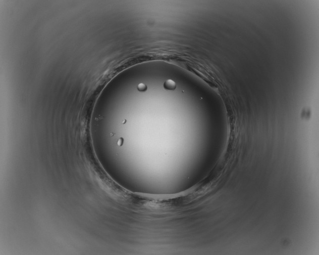 X0000111050568200906251436