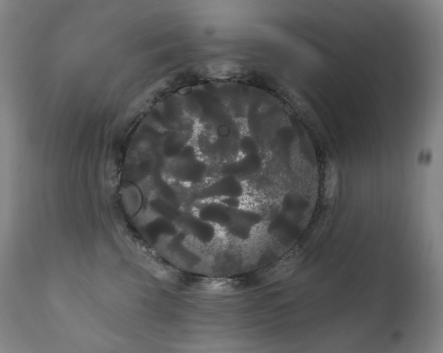 X0000111050569200906251436