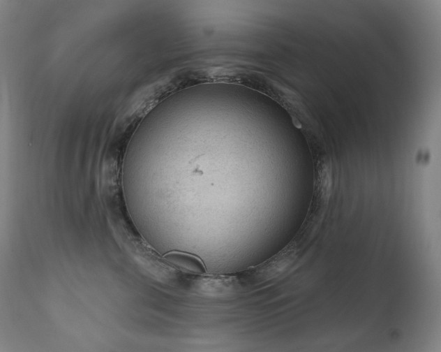 X0000111050571200906251436