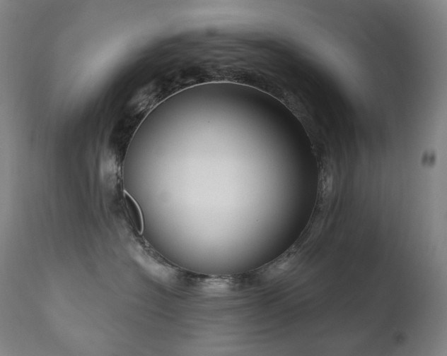 X0000111050574200906251436