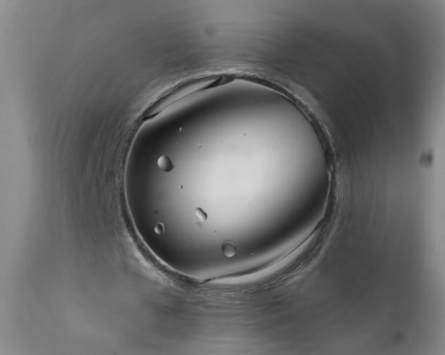 X0000111050577200906251435