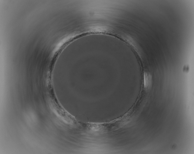 X0000111050579200906251435