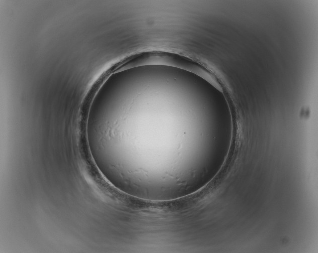 X0000111050580200906251435