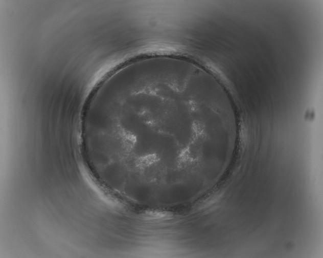 X0000111050582200906251435