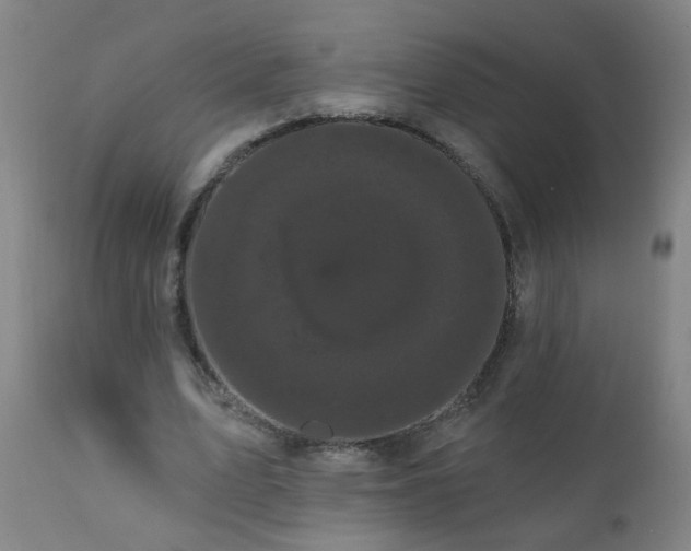 X0000111050583200906251435