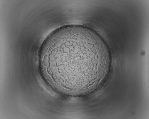 X0000111050584200906251435