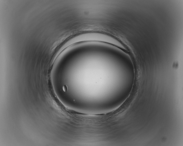 X0000111050585200906251435