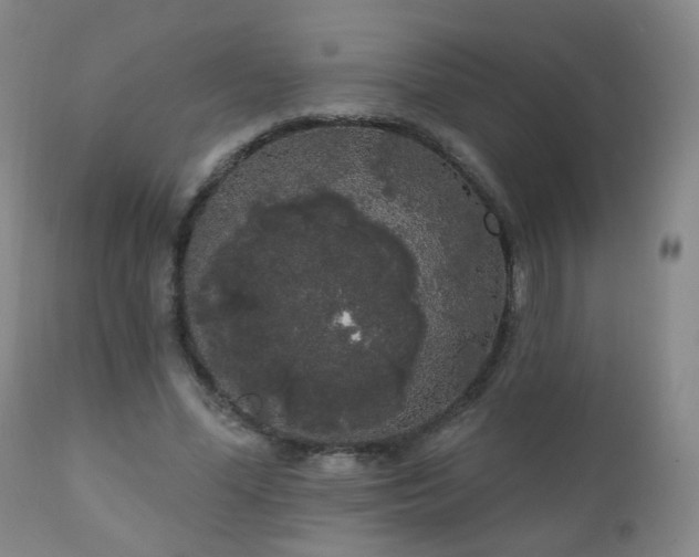 X0000111050588200906251435