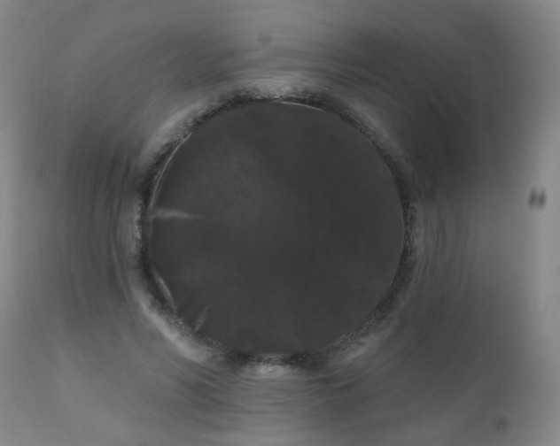 X0000111050590200906251435