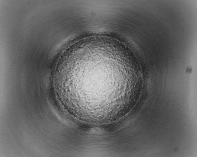 X0000111050591200906251435