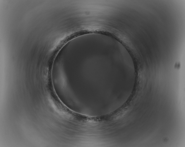 X0000111050592200906251435