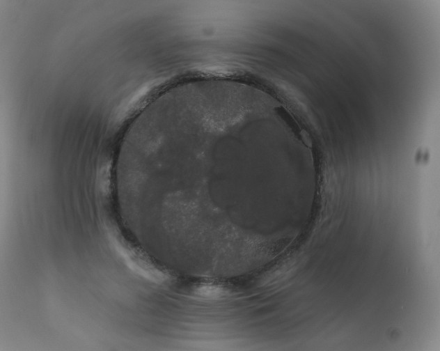 X0000111050596200906251435