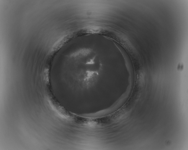 X0000111050598200906251435