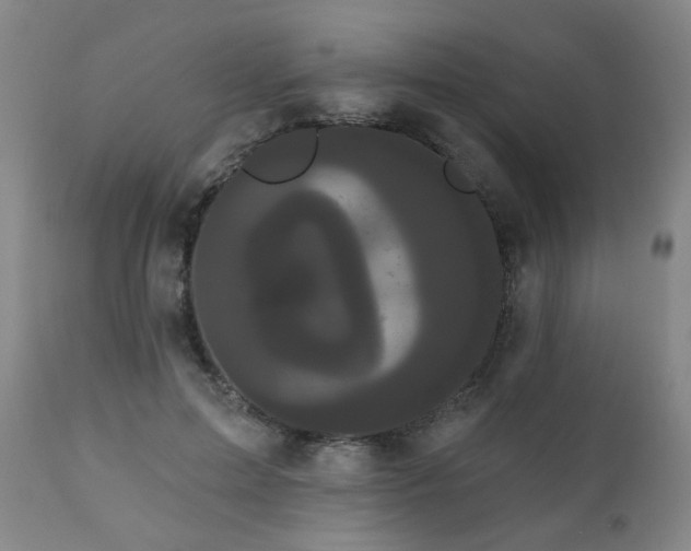 X0000111050599200906251435