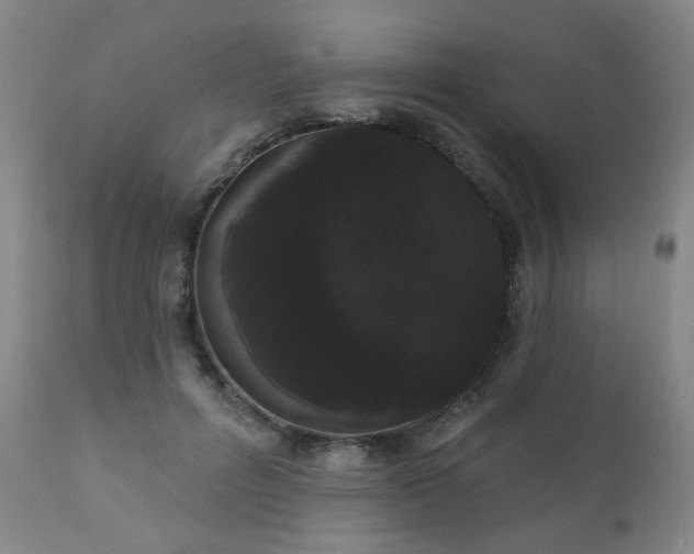 X0000111050600200906251435