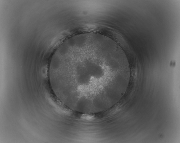 X0000111050602200906251435