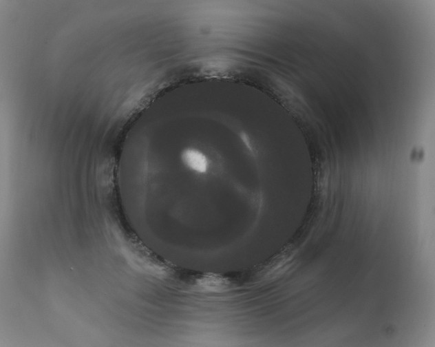 X0000111050603200906251435