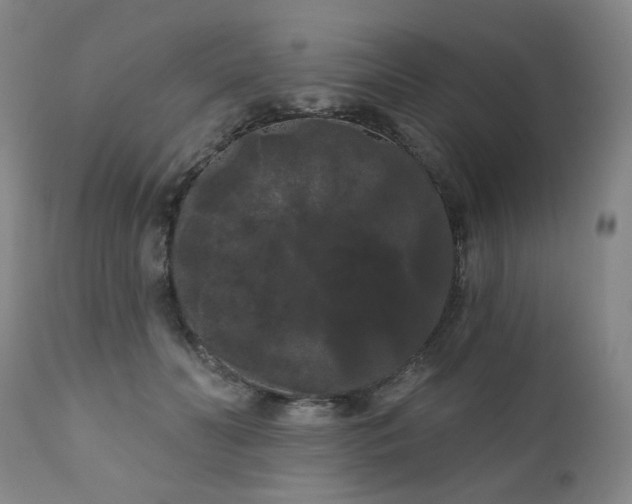 X0000111050606200906251435