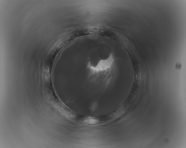 X0000111050610200906251435