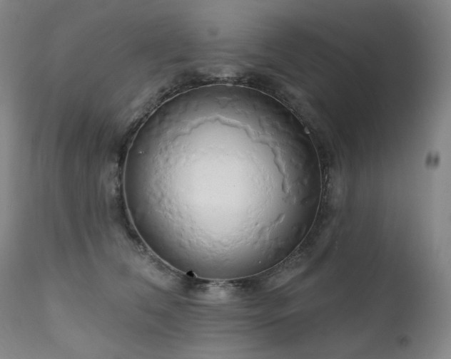 X0000111050612200906251435