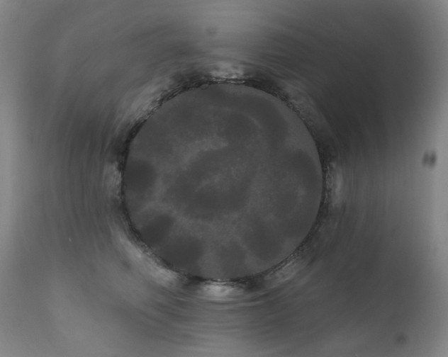 X0000111050614200906251434