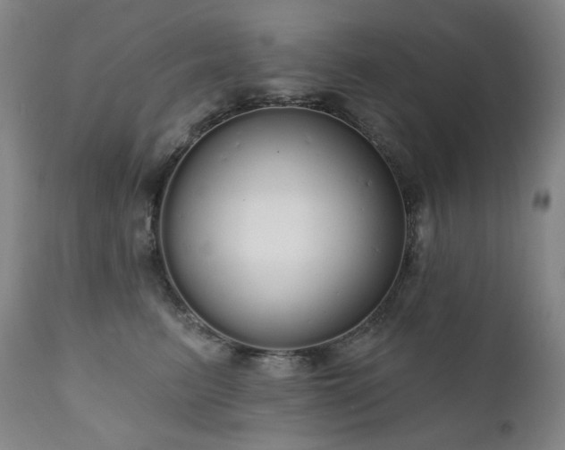 X0000111050615200906251434