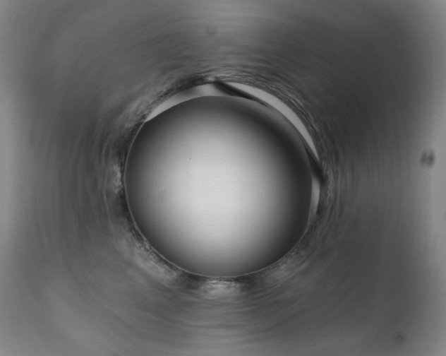 X0000111050617200906251434