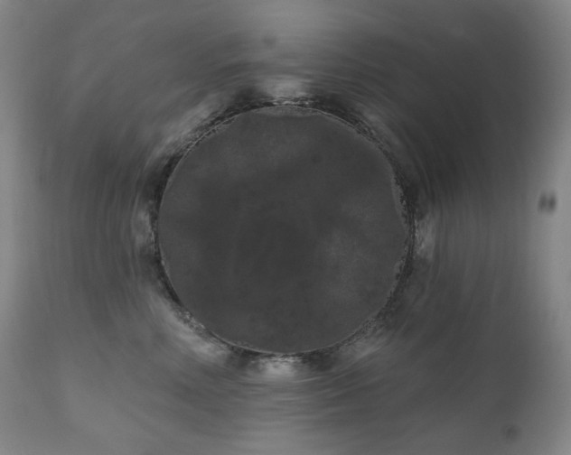 X0000111050618200906251434