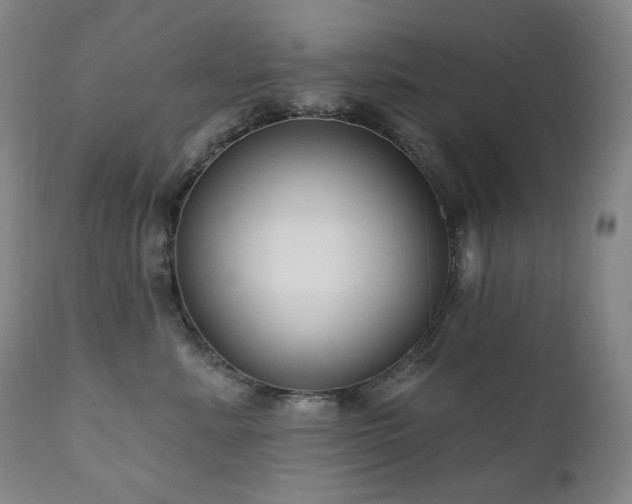 X0000111050619200906251434