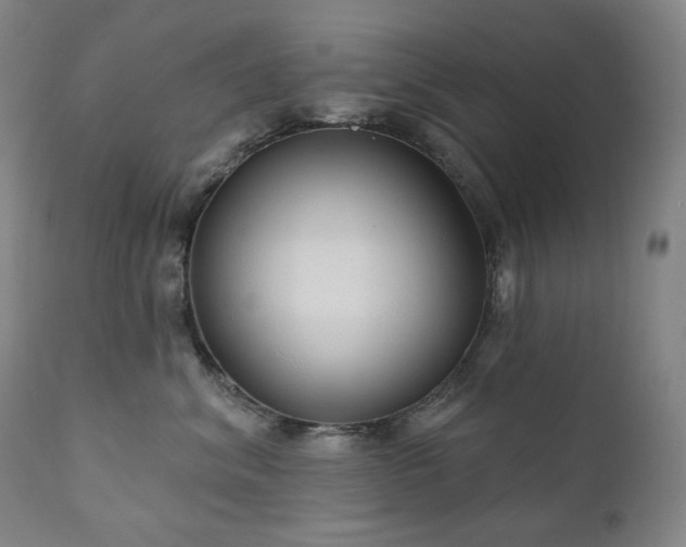 X0000111050620200906251434