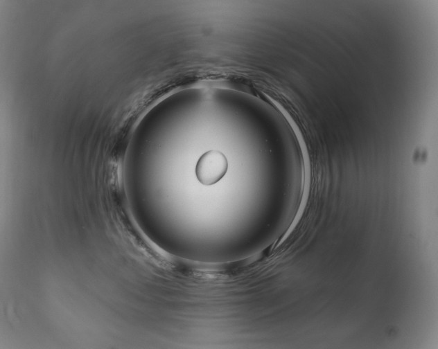 X0000111050621200906251434