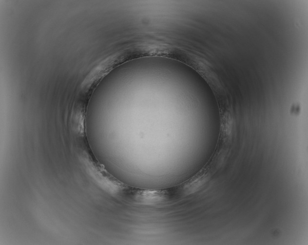 X0000111050622200906251434