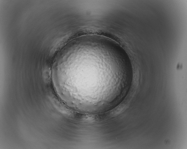 X0000111050624200906251434