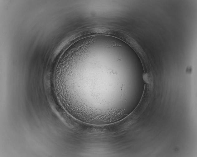 X0000111050626200906251434