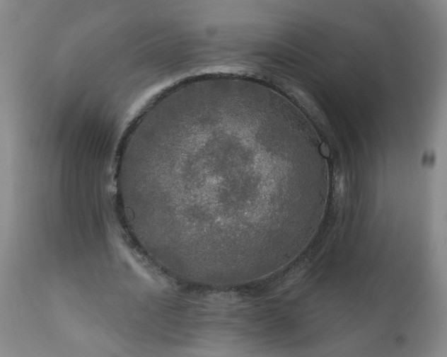 X0000111050628200906251434