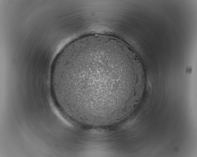 X0000111050630200906251434