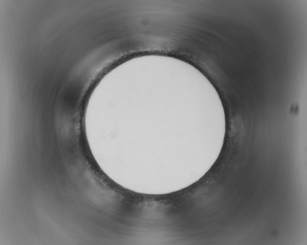 X0000111050632200906251434