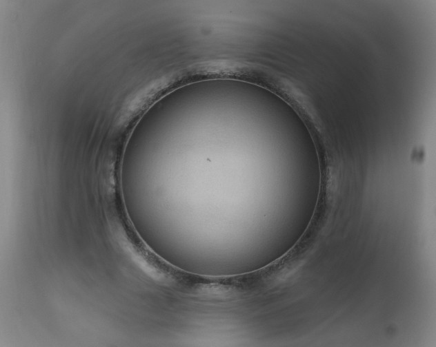 X0000111050633200906251434