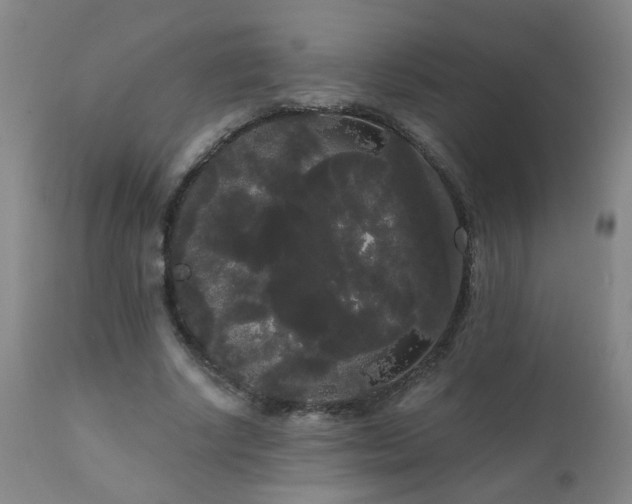 X0000111050634200906251434