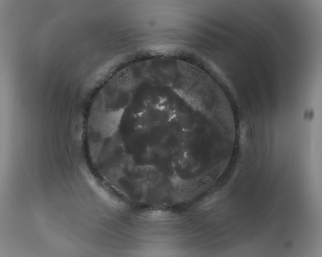 X0000111050637200906251434