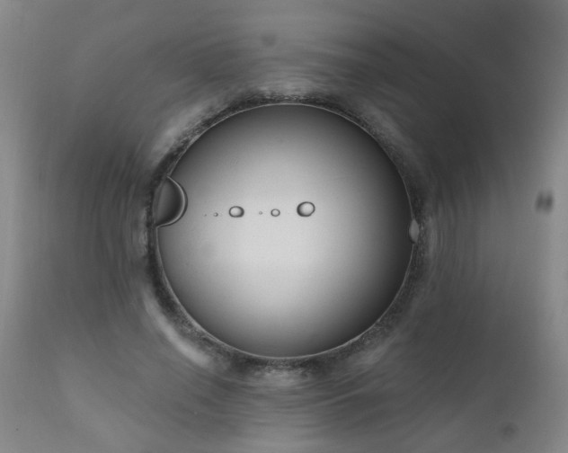 X0000111050638200906251434