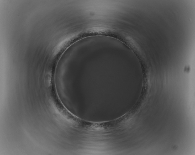 X0000111050640200906251434