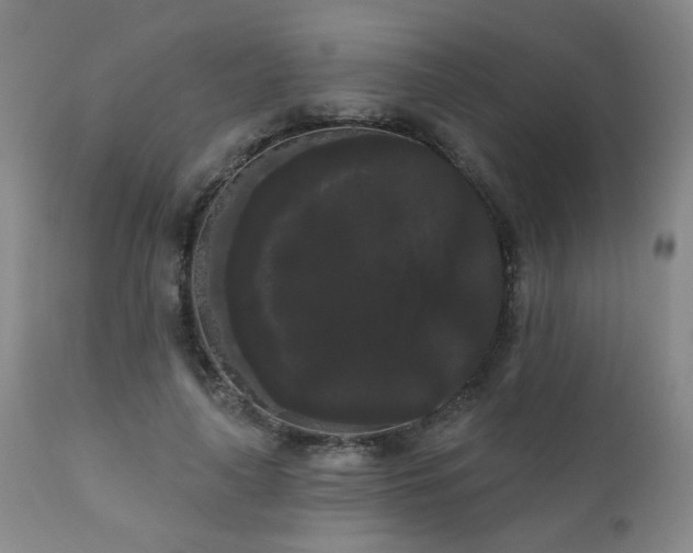 X0000111050643200906251434