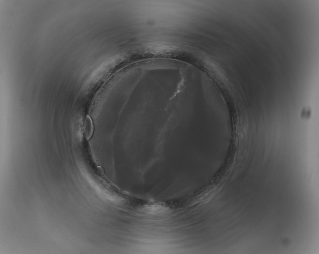 X0000111050644200906251434