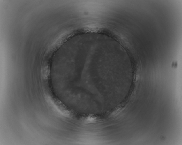 X0000111050647200906251434