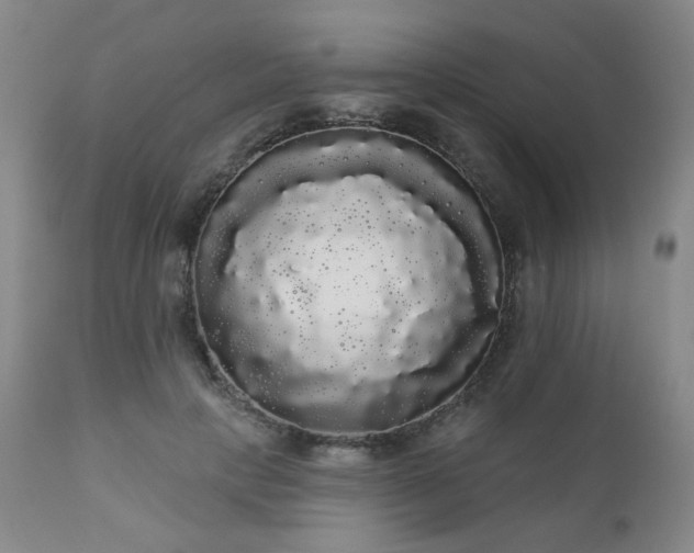 X0000111050649200906251434