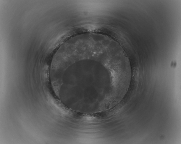 X0000111050650200906251434